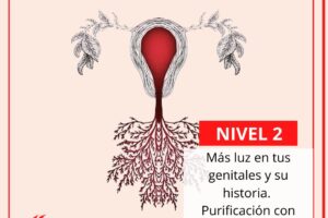 Sanación femenina – nivel 2